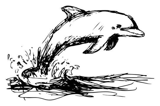 Dolphin jumping from ocean waves with water splash hand drawn sketch style
