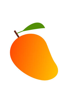 Orange yellow mango illustration isolated on transparent background PNG. Tropical fruit icon for article, sticker, healthy eating, organic food, grocery, nutrition, summer recipes and exotic cuisine