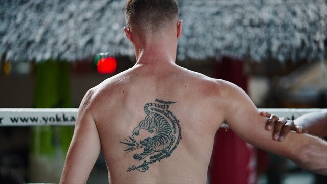 Muay thai fighter showing powerful sak yant tiger tattoo on his sweaty back in boxing ring
