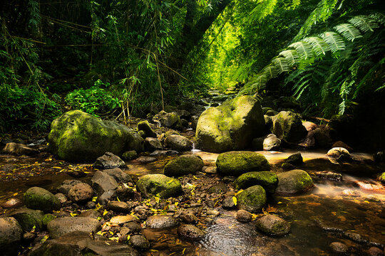 Wading Upstream