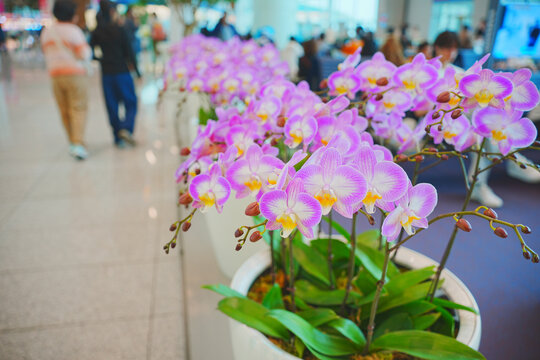 ICN airport, Incehon, South Korea, 05 06 2025: The landscape Incheon international (ICN) airport terminal 1