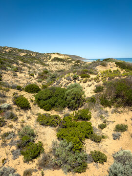 Sand dunes at Waitpinga Beach on the Fleurieu Peninsula in South Australia