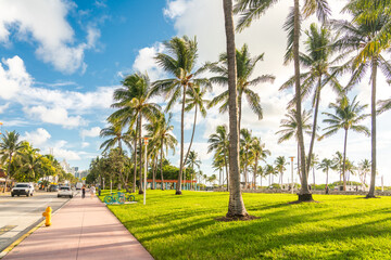 Fototapeta premium Morning in Miami south beach. Palm trees with sunlight on background