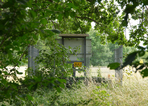 Electrical distribution box with outdoor light in forest
