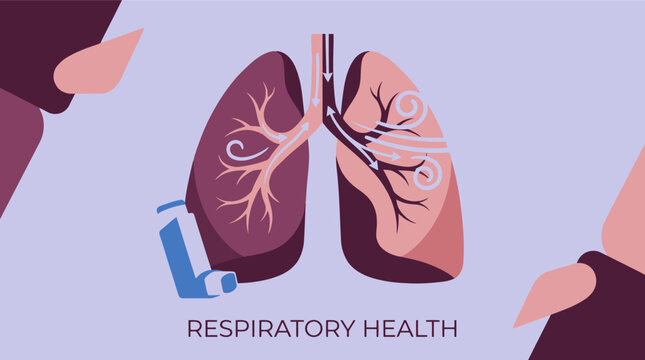 Respiratory health medical illustration, human lungs with asthma inhaler vector, pulmonary system anatomy for healthcare education