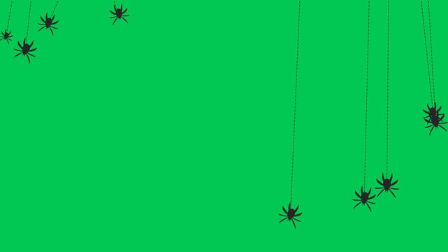 Spider hanging on web line with spooky jittery motion on green screen chroma key backdrop