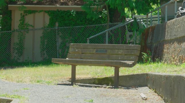 Weathered wooden bench with plaque in public park green space