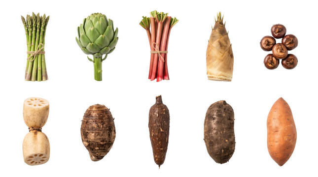 Fresh seasonal vegetables collection on white background, organic root vegetables and spring greens set, assortment of raw healthy ingredients for cooking