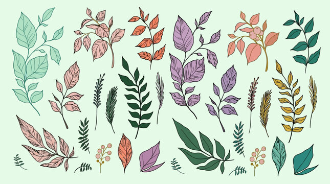 Ensemble d'illustrations botaniques dessin&eacute;es &agrave; la main repr&eacute;sentant diverses feuilles, branches et tiges color&eacute;es dans un style artistique sur un fond vert clair pastel