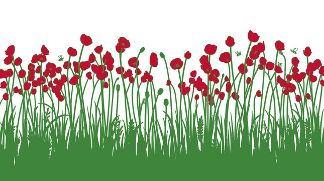 Illustration vectorielle de coquelicots rouges vibrants sur une tige verte avec des feuilles sur un fond blanc isol&eacute;, id&eacute;al pour des designs printaniers ou estivaux.