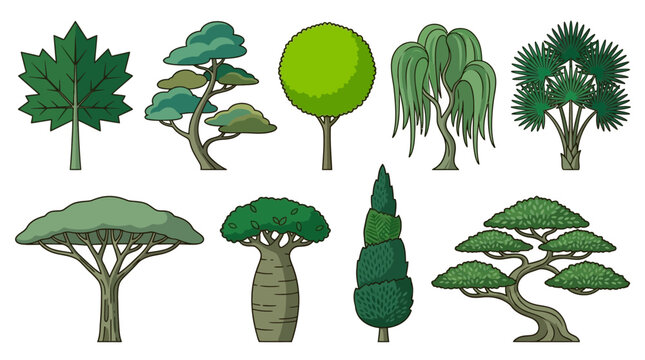 Conjunto de &iacute;cones de &aacute;rvores variadas em estilo de ilustra&ccedil;&atilde;o vetorial plana, apresentando diferentes esp&eacute;cies bot&acirc;nicas, formas de copas e texturas de troncos em um fundo branco isolado.