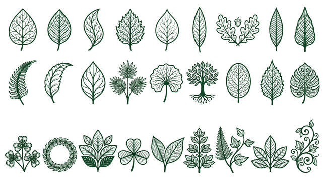 Ensemble d'ic&ocirc;nes vectorielles repr&eacute;sentant diverses feuilles d'arbres et de plantes stylis&eacute;es avec des d&eacute;tails de nervures complexes sur un fond blanc propre pour le design graphique.