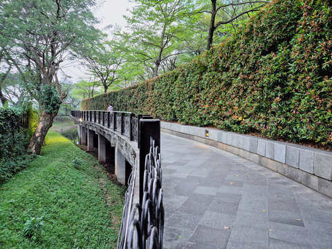 People walking on a scenic paved pathway in a lush green city park with dense hedges and tall trees.