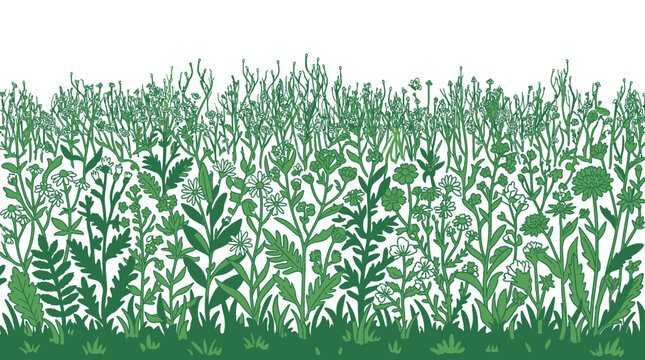 Ilustra&ccedil;&atilde;o vetorial de um prado com flores silvestres e ervas verdes, design plano e minimalista com fundo branco, ideal para bordas decorativas, banners e projetos de design gr&aacute;fico.