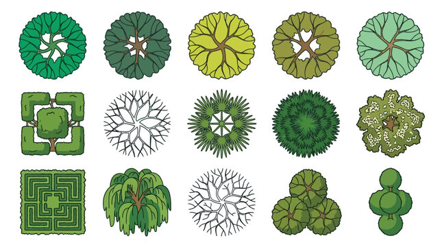 Cole&ccedil;&atilde;o de &iacute;cones de &aacute;rvores e arbustos vistos de cima para projetos de paisagismo, arquitetura e planejamento urbano, apresentando diversos estilos de folhagem e formas geom&eacute;tricas.