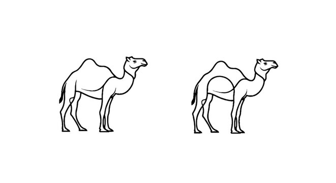 Two camels standing side by side illustration.