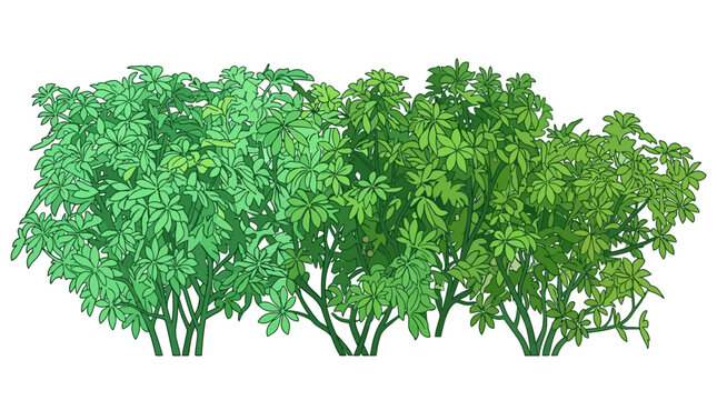 Illustration vectorielle d'une haie de buissons verts luxuriants isol&eacute;e sur un fond blanc pur, id&eacute;ale pour le design paysager, l'architecture et les projets graphiques cr&eacute;atifs.