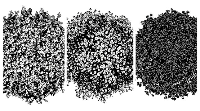 Conjunto de tres texturas bot&aacute;nicas abstractas en blanco y negro que representan diferentes tipos de follaje denso, arbustos y vegetaci&oacute;n detallada para dise&ntilde;o gr&aacute;fico y fondos art&iacute;sticos.