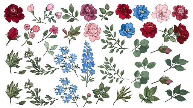 Conjunto de ilustraciones bot&aacute;nicas de flores y hojas dibujadas a mano con estilo acuarela sobre fondo blanco, incluyendo rosas rojas, rosas, azules y follaje verde detallado.