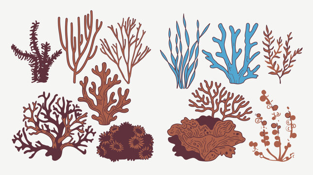 Conjunto de ilustra&ccedil;&otilde;es vetoriais desenhadas &agrave; m&atilde;o de corais marinhos e plantas subaqu&aacute;ticas variadas, exibindo diferentes formas, texturas e cores em um estilo art&iacute;stico e decorativo.