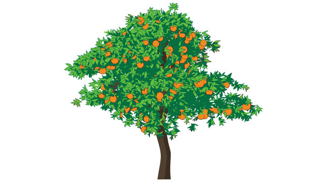 Ein detaillierter, stilisierter Orangenbaum mit leuchtend gr&uuml;nen Bl&auml;ttern und reifen, orangefarbenen Fr&uuml;chten, isoliert auf einem rein wei&szlig;en Hintergrund f&uuml;r grafische Designs.