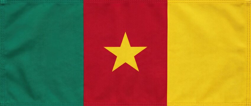 The flag of Cameroon, featuring three vertical bands of green, red, and yellow with a central yellow star