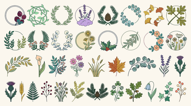 Eine umfangreiche Sammlung handgezeichneter botanischer Illustrationen mit Blumenkr&auml;nzen, Bl&auml;ttern, Zweigen und Wildblumen im dekorativen Vektor-Stil f&uuml;r kreative Designprojekte.