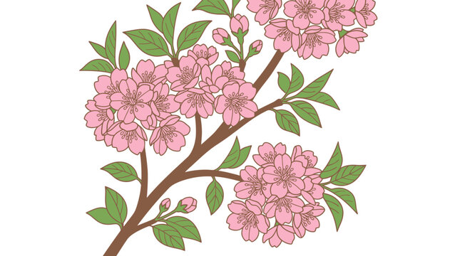 Ilustra&ccedil;&atilde;o vetorial de um ramo de cerejeira em flor com flores cor-de-rosa delicadas e folhas verdes, isolado em um fundo branco, ideal para design floral e decora&ccedil;&atilde;o de primavera.