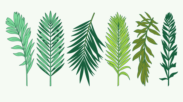 Conjunto de ilustraciones vectoriales de hojas de palma tropicales y follaje ex&oacute;tico en diferentes formas y tonos de verde sobre un fondo claro para dise&ntilde;o bot&aacute;nico y decorativo.