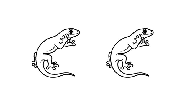 Two detailed black and white lizard illustrations.