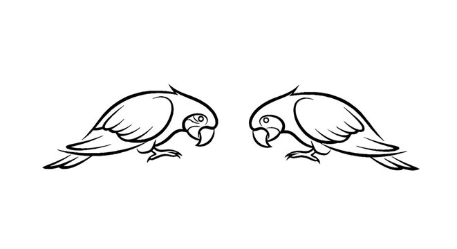 Two parrots perched on branches illustration.