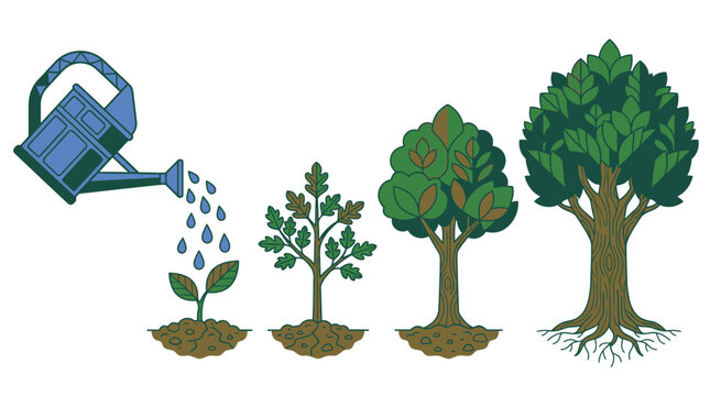 Ilustraci&oacute;n vectorial que muestra las etapas de crecimiento de un &aacute;rbol desde una peque&ntilde;a planta hasta un &aacute;rbol maduro siendo regado por una regadera sobre un fondo blanco aislado.