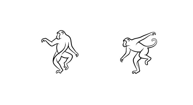 Two monkeys in different walking poses illustration.