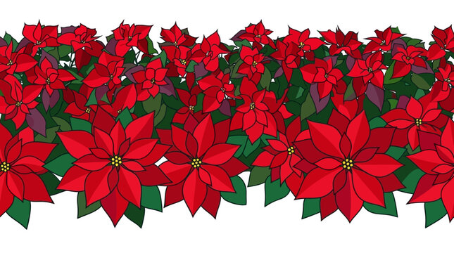 Ilustraci&oacute;n de borde horizontal con flores de pascua rojas vibrantes y hojas verdes sobre un fondo blanco, ideal para decoraciones navide&ntilde;as y dise&ntilde;os festivos de temporada.