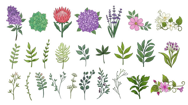 Set di illustrazioni botaniche disegnate a mano con fiori colorati, foglie verdi, rami e piante decorative su sfondo bianco per design floreale e decorazioni grafiche