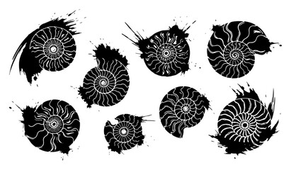 Ammonite fossil shells with grunge paint splatters and detailed spiral patterns © Wuszu