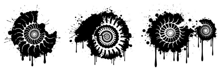 Ammonite fossil shells with dripping paint and heavy grunge splatters © Wuszu