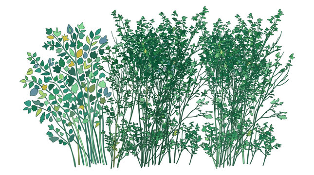 白背景に配置された緑豊かな茂みと草木のイラストレーション、手描き風の繊細なタッチで描かれた自然の植物の集合体、庭園や公園の植栽をイメージしたナチュラルなデザイン素材