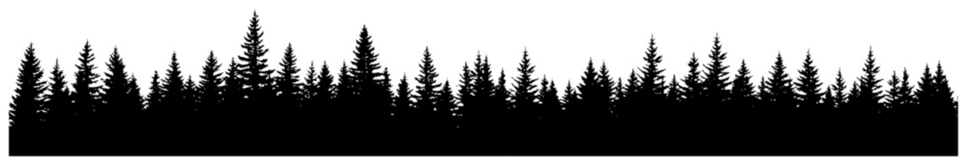 Dense pine forest conifer tree line silhouette in horizontal border design © Wuszu