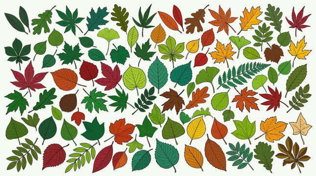 白背景に配置された色とりどりの様々な種類の葉のイラストセット、秋の紅葉や緑の葉が混ざり合った植物のコレクション、自然をテーマにしたデザイン素材や装飾に最適なグラフィック要素