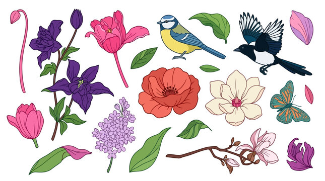 Zestaw ilustracji wiosennych z kwiatami, ptakami i motylem, zawierający kolorowe tulipany, powojniki, bzy, magnolie, modraszkę oraz srokę na białym tle, idealny do projekt&oacute;w graficznych.
