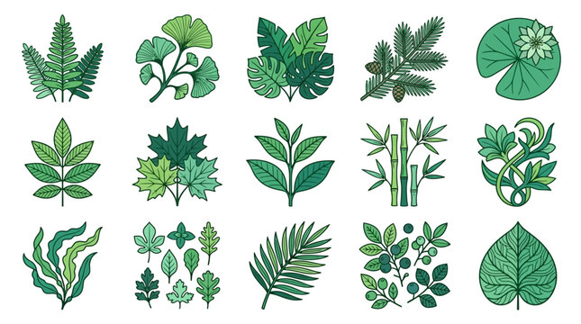 Zestaw piętnastu ręcznie rysowanych ikon z zielonymi liśćmi i roślinami, obejmujący r&oacute;żnorodne gatunki botaniczne w stylu ilustracji wektorowej na białym tle do projekt&oacute;w graficznych.