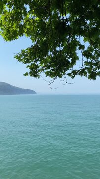 Tree Branches Overlooking Calm Black Sea at Inkumu Beach Turkey