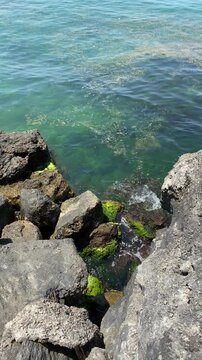 Crystal Clear Black Sea Water Flowing Through Mossy Coastal Rocks at Inkumu Beach, Bartin, Turkey