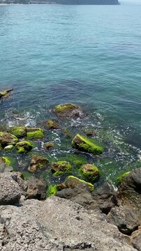 Gentle Black Sea Waves Washing Over Mossy Coastal Rocks at Inkumu Beach, Bartin, Turkey