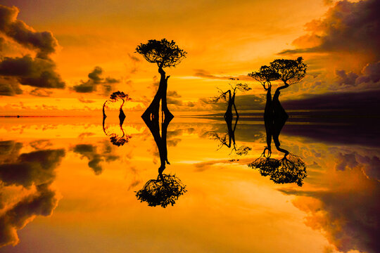 Pantai Walakiri Dancing Mangrove Trees silhouettes at Sunset in East Sumba
