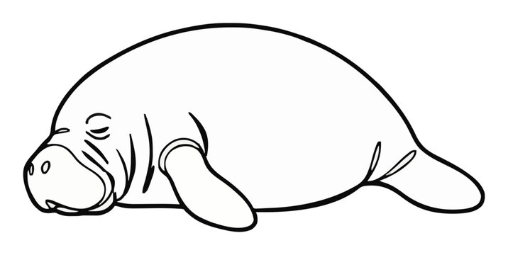 Manatee sleeping aquatic animal continuous line art .... Generative AI