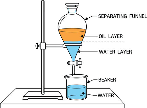 Separating Funnel Oil Water Separation Experiment, Laboratory Chemistry Apparatus Illustration, Liquid Density Demonstration Educational Science Diagram Vector
