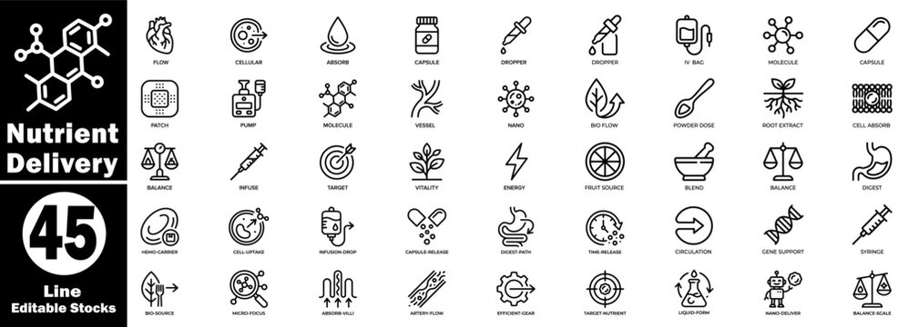 Nutrient delivery line icons. Showcasing methods like flow, cellular, absorption, capsule, molecule, and other processes. Vector Illustration.