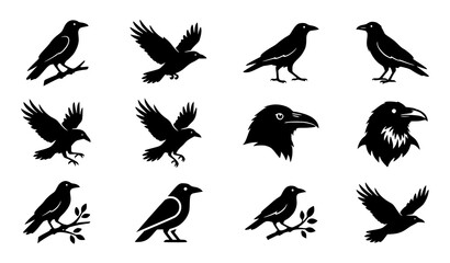 Obraz premium Crow silhouette icon set featuring raven black bird perched flying and wildlife vector collection